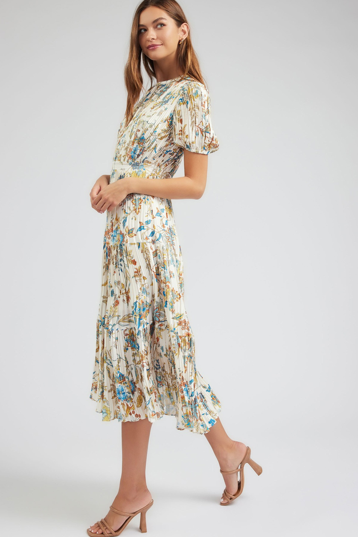 Botanical Print Pleat Dress