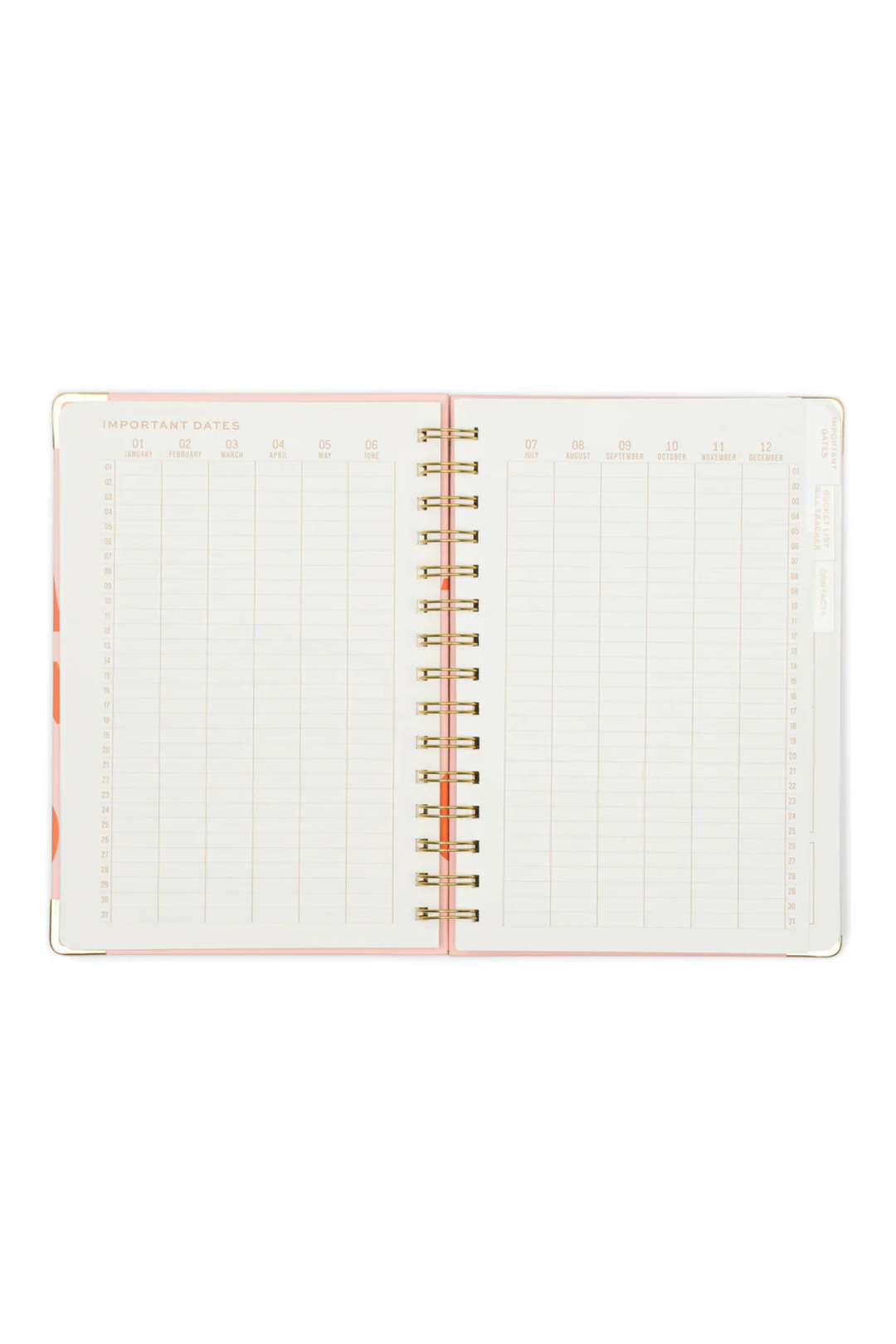 13 Month Planner